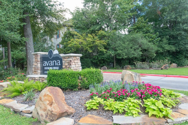 Foto del edificio - Grove at Sterling Ridge