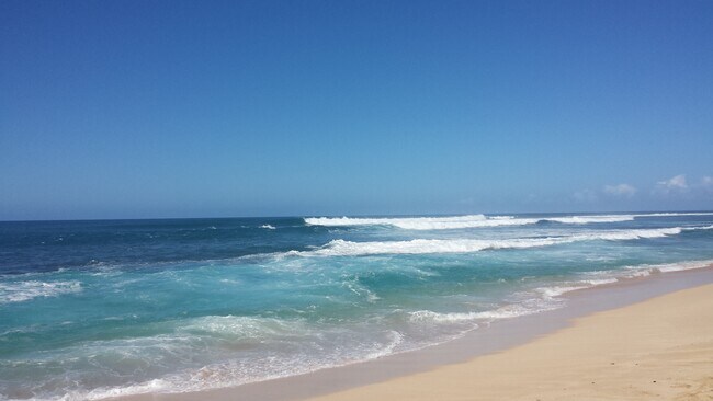 Kailua boogie boarding - 202 S Kalaheo Ave