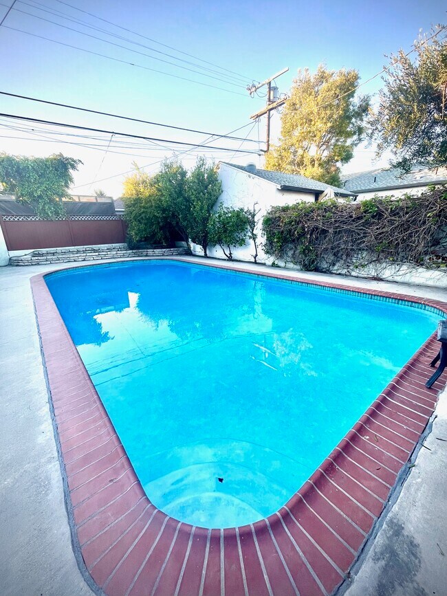 Pool - 1847 Stearns Dr