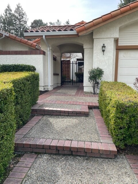 Building Photo - 335 Live Oak Dr