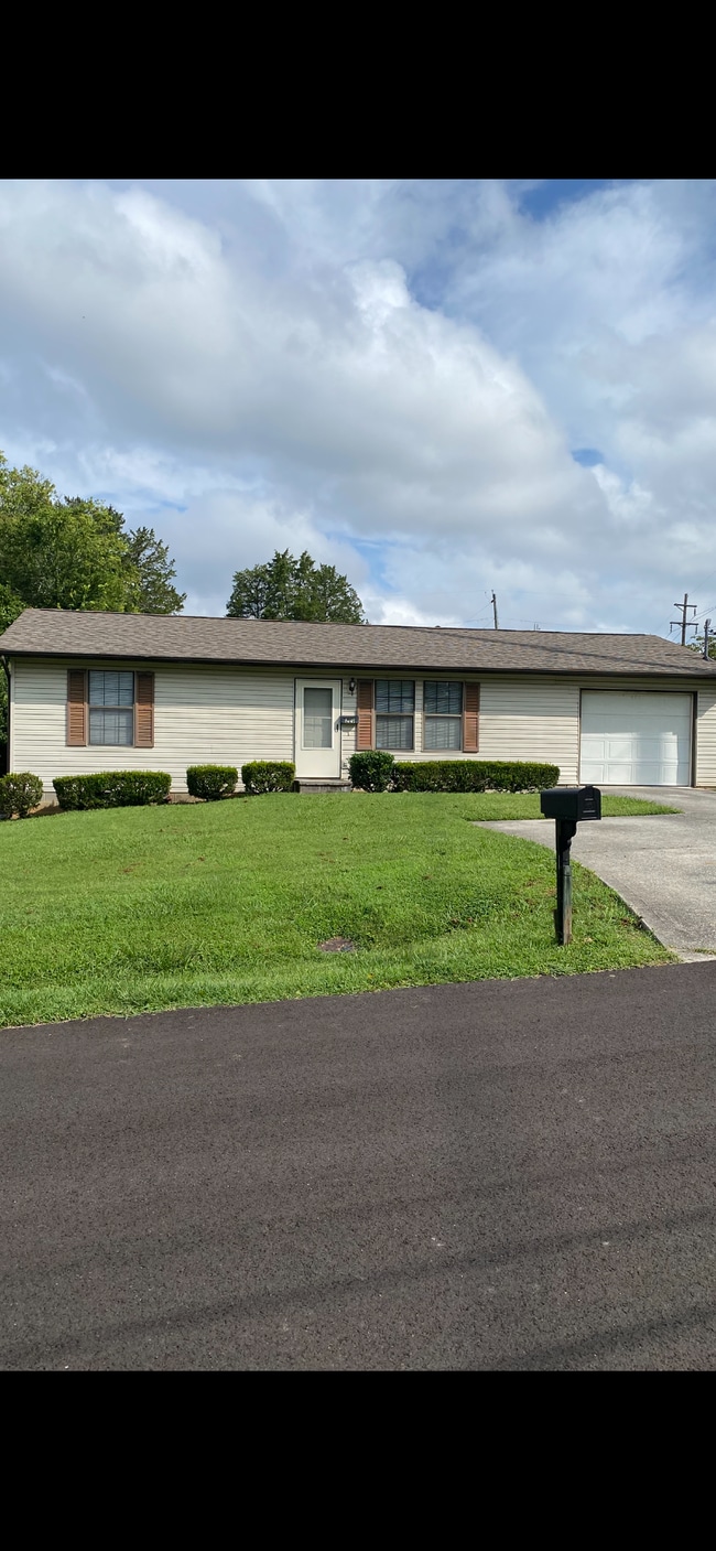 Building Photo - 229 Doughty Dr
