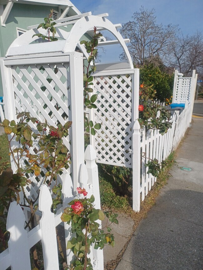 Enrejado en el jardín delantero - 944 Virginia St