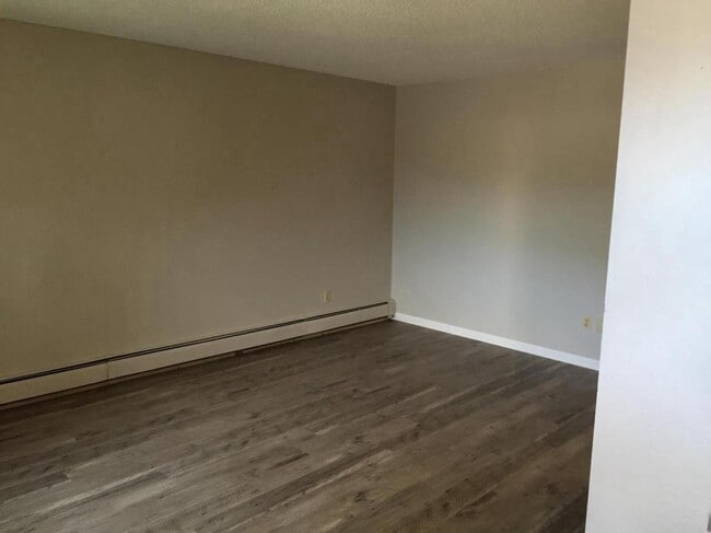 Living Room looking from the entry. There's a big, deep closet for extra storage by this entry.. - 423 Hwy 1 W