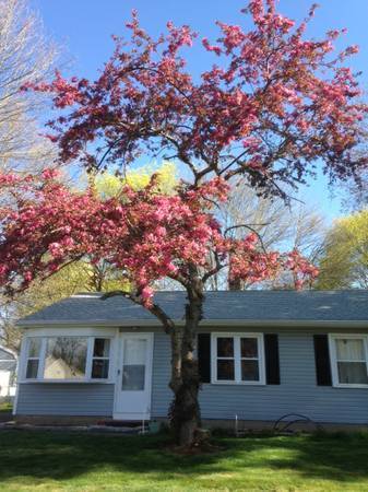 Foto del edificio - 3 Bedroom 1 Bath Ranch