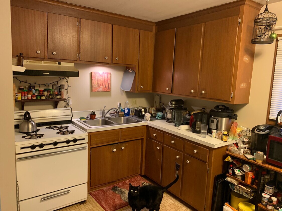 Kitchen - 2226 Arthur St NE