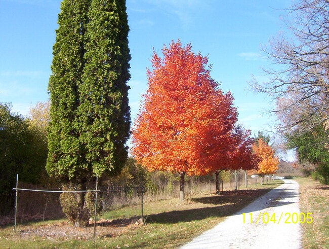 Building Photo - 4083 Ames Rd