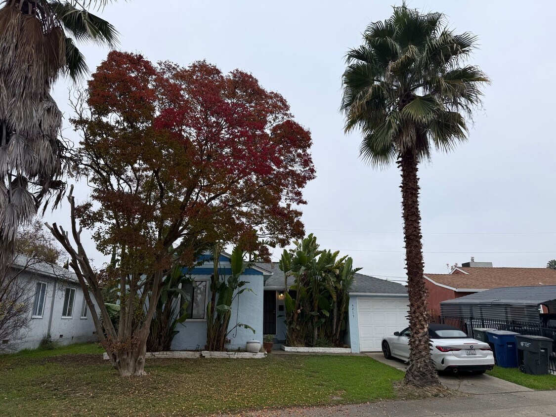 Nice 3/1 in North City Farms - Nice 3/1 in North City Farms