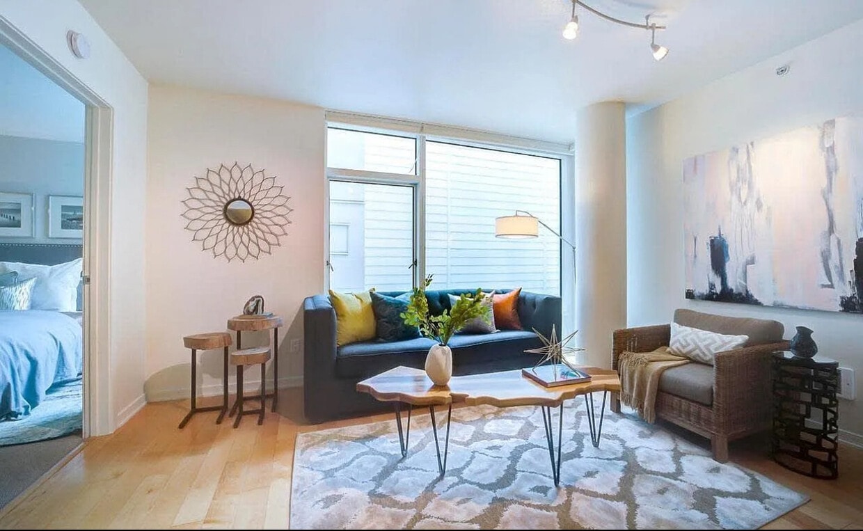 Living Area - 829 Folsom St