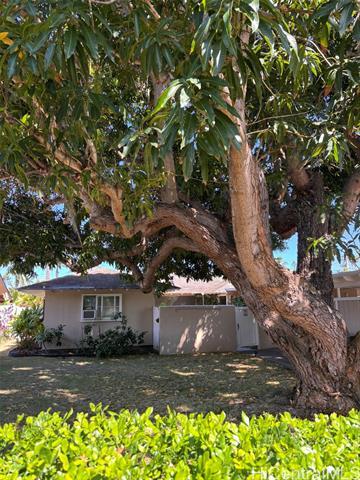 Foto principal - 4741 Moa St