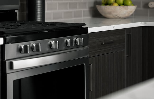 Elegante cocina con elegante horno de acero inoxidable y modernos gabinetes de cierre lento. - 30 Court Street Apartments