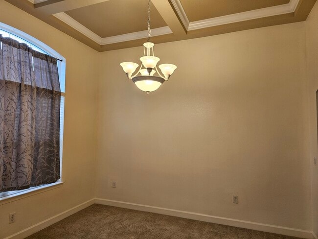 Building Photo - 11 Fringetree Ct