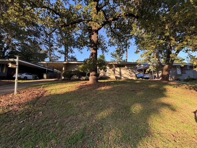 Building Photo - 30 Belmont Dr