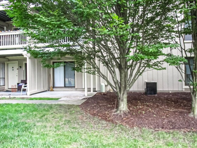 Charming 2 Bed 1 Bath Apartment With Paved... - Charming 2 Bed 1 Bath Apartment With Paved...