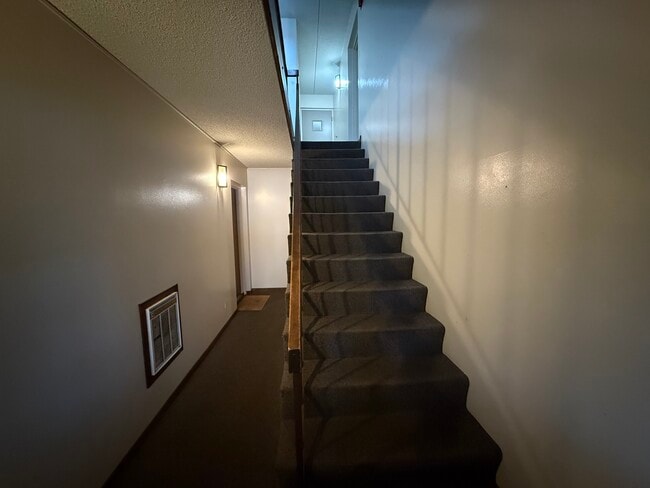 Foto del edificio - 259 Stoneybrook Ln