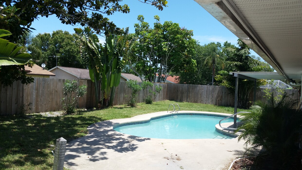 Beautiful pool! - 636 Tulane Ave