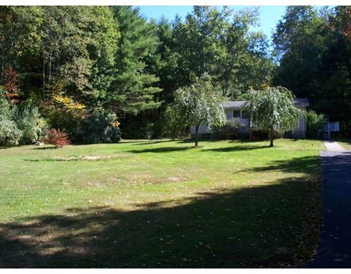 Primary Photo - 31 Harrington Rd