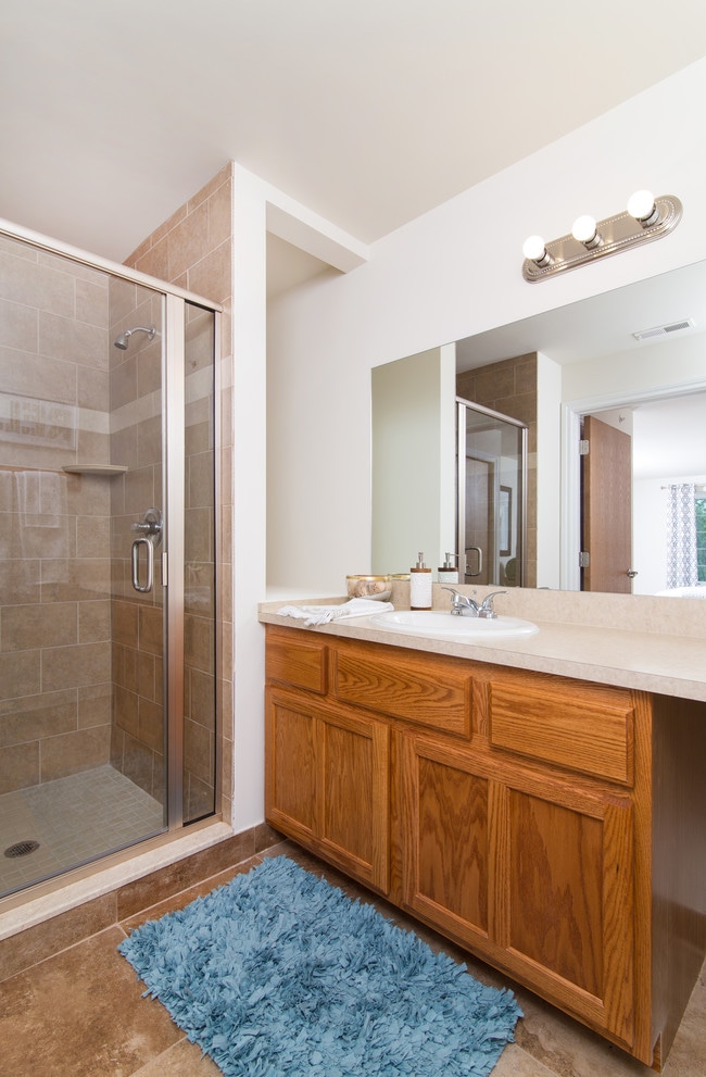 2B/2B - Master Bathroom - Shelby Park Manor Apts - 55 & OVER