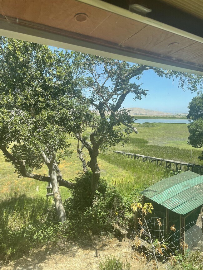 Foto del edificio - 33 Bridge Rd