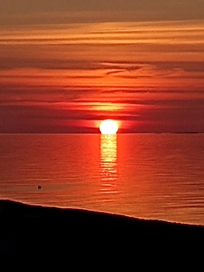 Building Photo - 20 Parker Pl