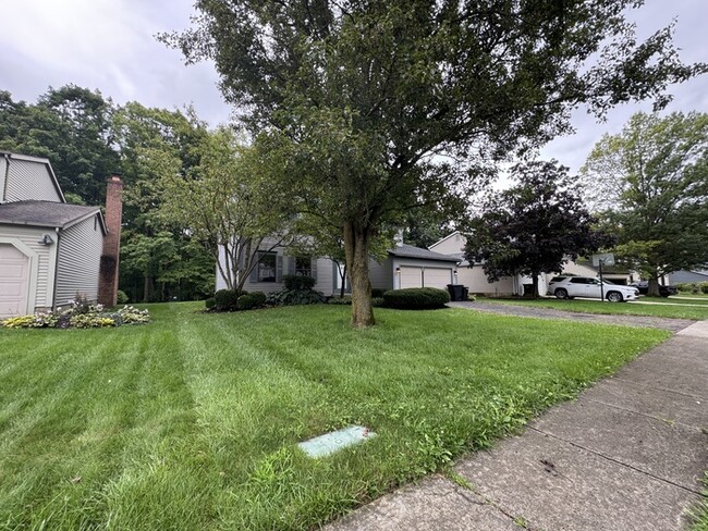 Building Photo - 564 Glenside Ln