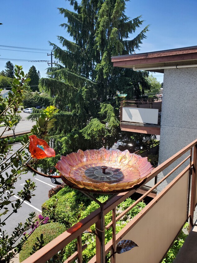 Lanai with storage closet - 604 NE 165th St
