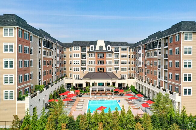 Piscina - The Vanderbilt