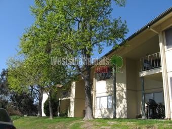 Primary Photo - 4095 Bonita Rd