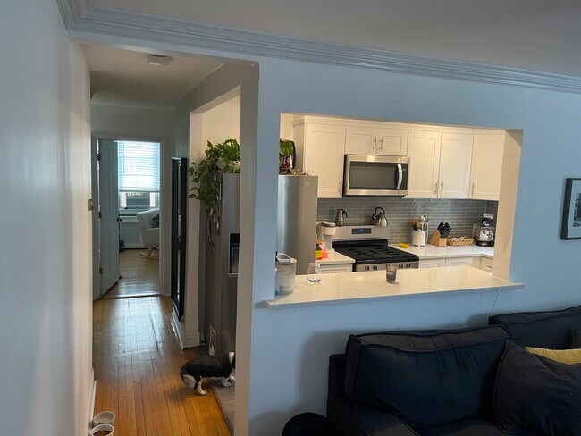 View From Living Room - 98 Chandler Avenue