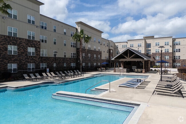 Outdoor Pool - Varsity House Gainesville - Historical Access