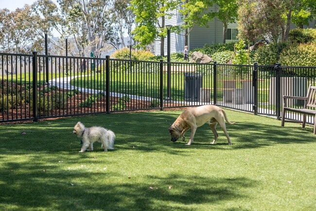 Building Photo - Serenity at Larkspur