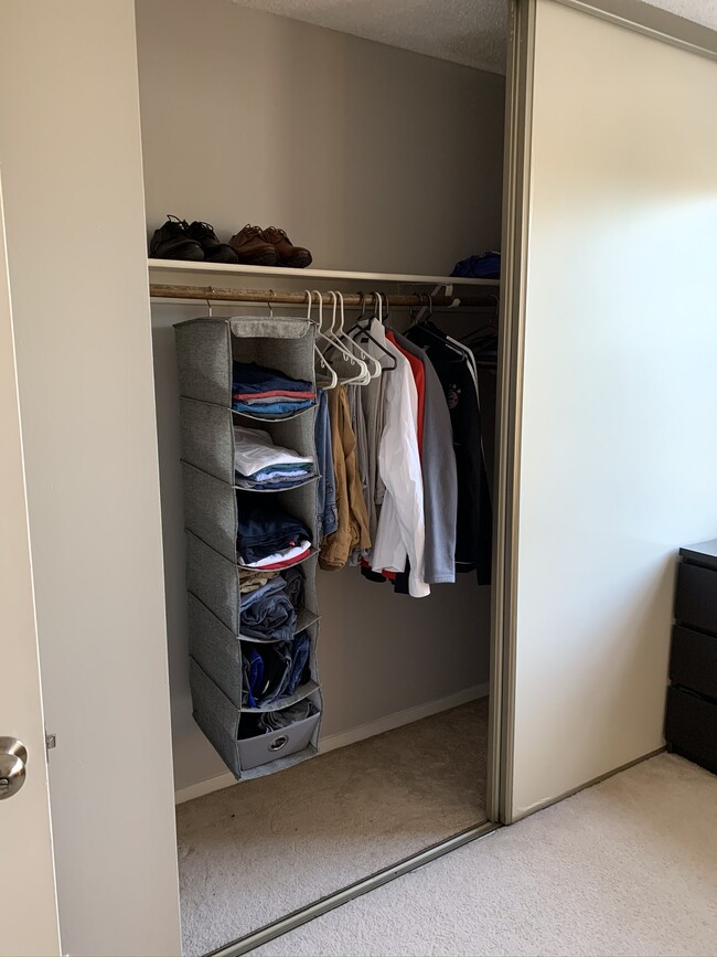 Master bedroom - closet - 2378 Branleigh Park Ct