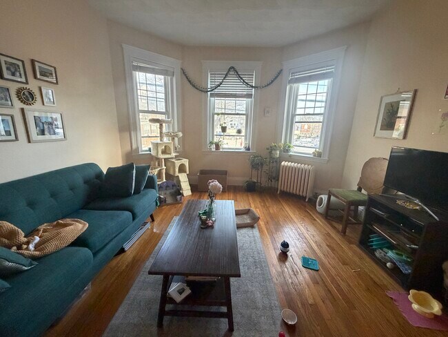 Foto del edificio - 313 Allston St