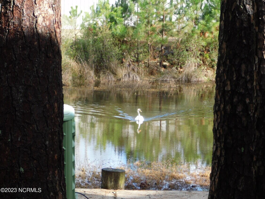 Primary Photo - 138 Mallard Cove