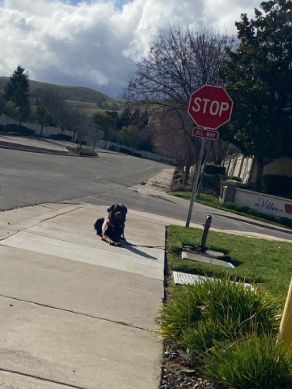 Building Photo - 9454 California Oak Cir