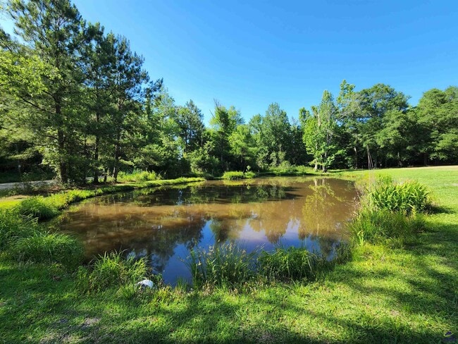 Building Photo - 225 Sandbed Rd
