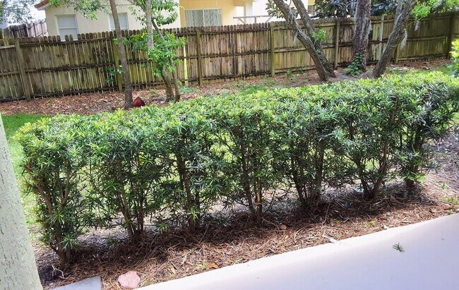 Building Photo - For Rent Beautiful 2/2 First Floor Condo a...