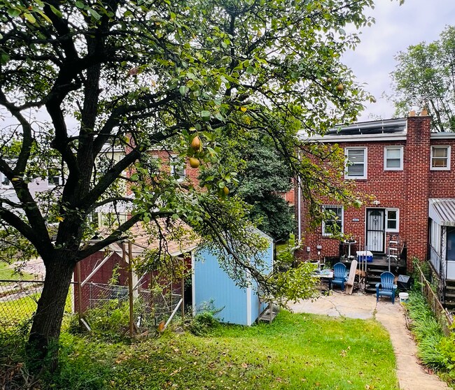 Foto del edificio - 226 Nicholson St NE