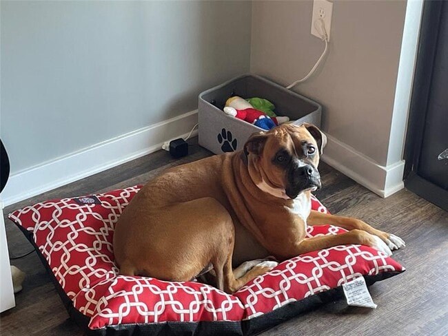 Building Photo - 1436 NE 2nd Ave