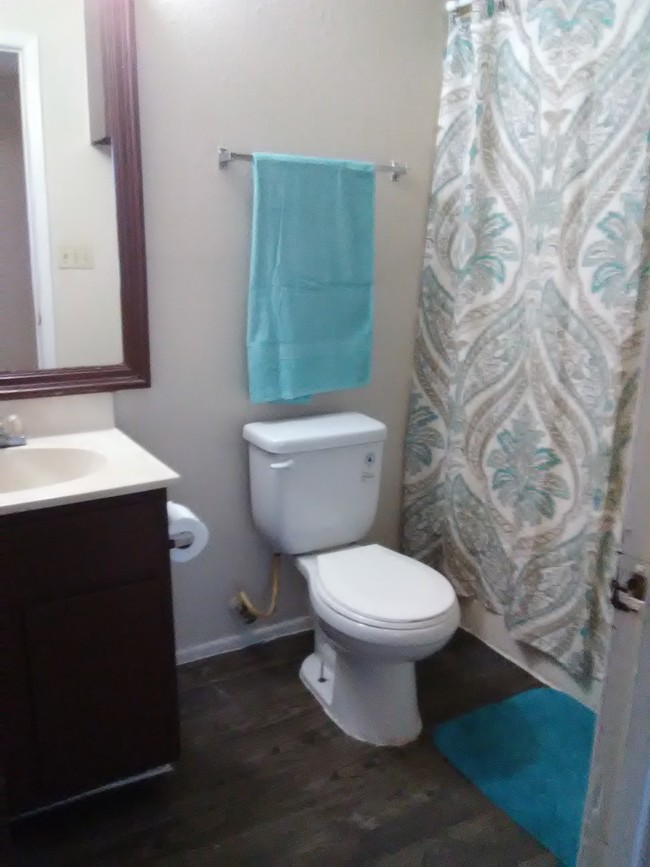 Baño - Pine Ridge Apartments - All Utilities Paid