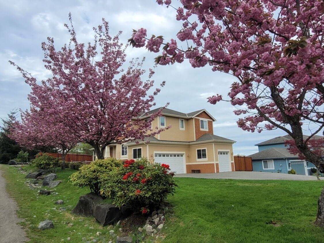 Primary Photo - UPDATED CHAFFEY 4 BEDROOOM KINGSTON HOME F...