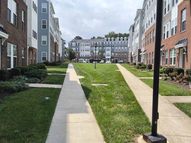 Building Photo - 8129 Wistar Creek Mews