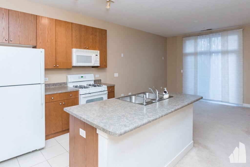 1515 S Halsted St Unit 205, Chicago, IL 60607 Apartment for Rent in