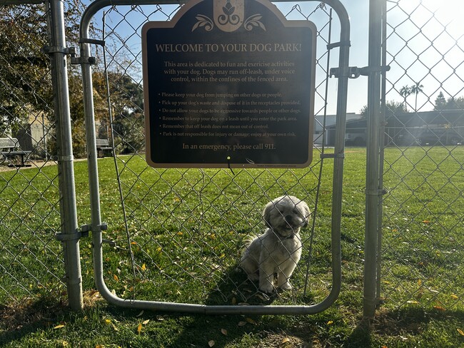 Dog Park - The Laurel Tree Apartments