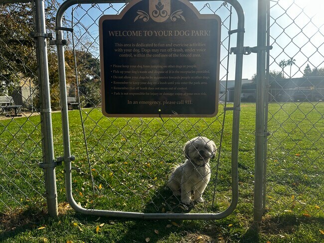 Parque para perros - The Laurel Tree Apartments