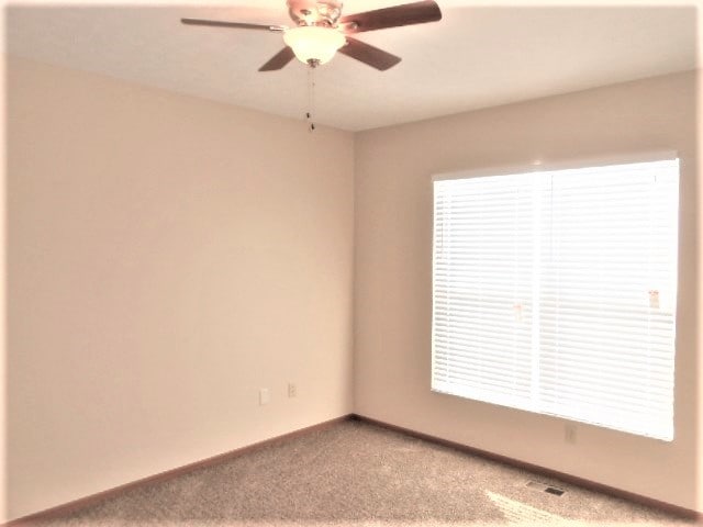 Building Photo - 1017 Sun Ridge St