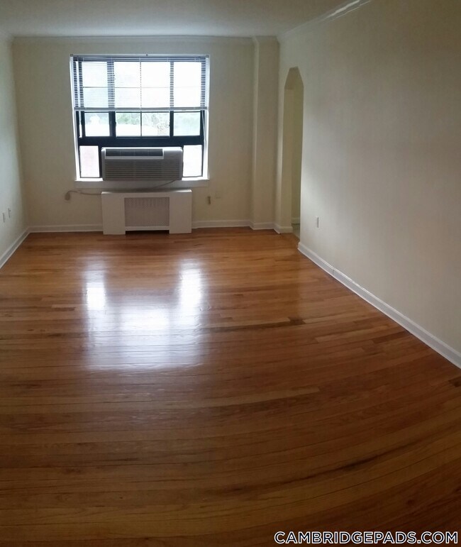 Building Photo - 60 Brattle St