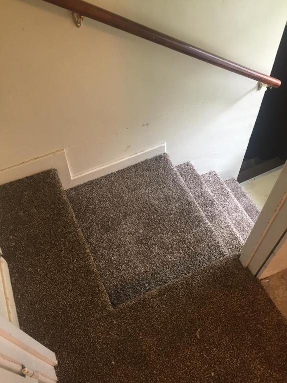 Foto del edificio - 7727 W Beachwood Ave