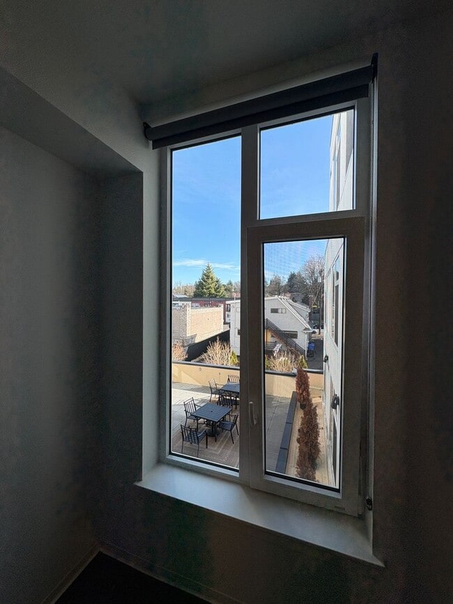 Interior Photo - Koz on Sandy