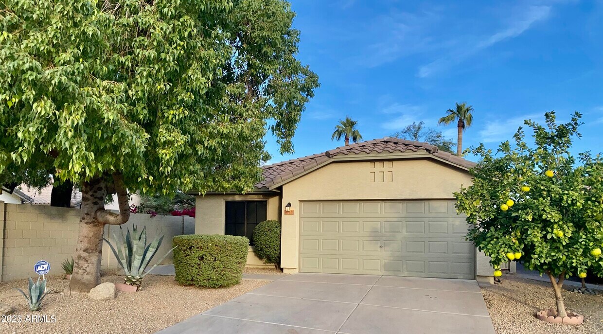 20221 N 33rd St, Phoenix, AZ 85050 House Rental in Phoenix, AZ
