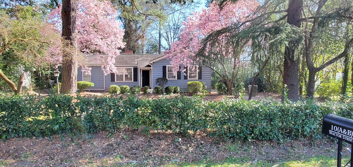 GEO PAD 1 BR 1 BA W/KITCHEN AND OFFICE. FULL FURNISHED INCLUDES UTILITIES & INTERNET. 803-406-2177 - 10 Wactor St